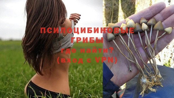 ешки Балахна