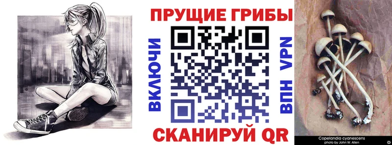 Псилоцибиновые грибы мухоморы  Урень 
